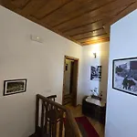 J.prifti *